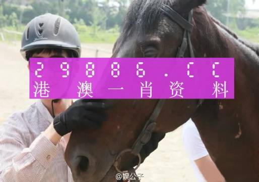 澳门今晚必中一肖一码恩爱一生|词语释义与解释落实龙腾版294.329