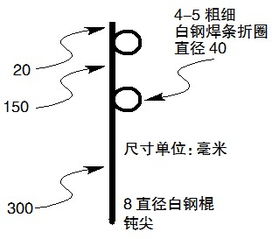 大力马钓鱼线主线绑法详解