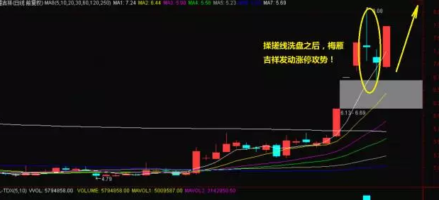 主线2.0子线大力马线，钓鱼中的秘密武器