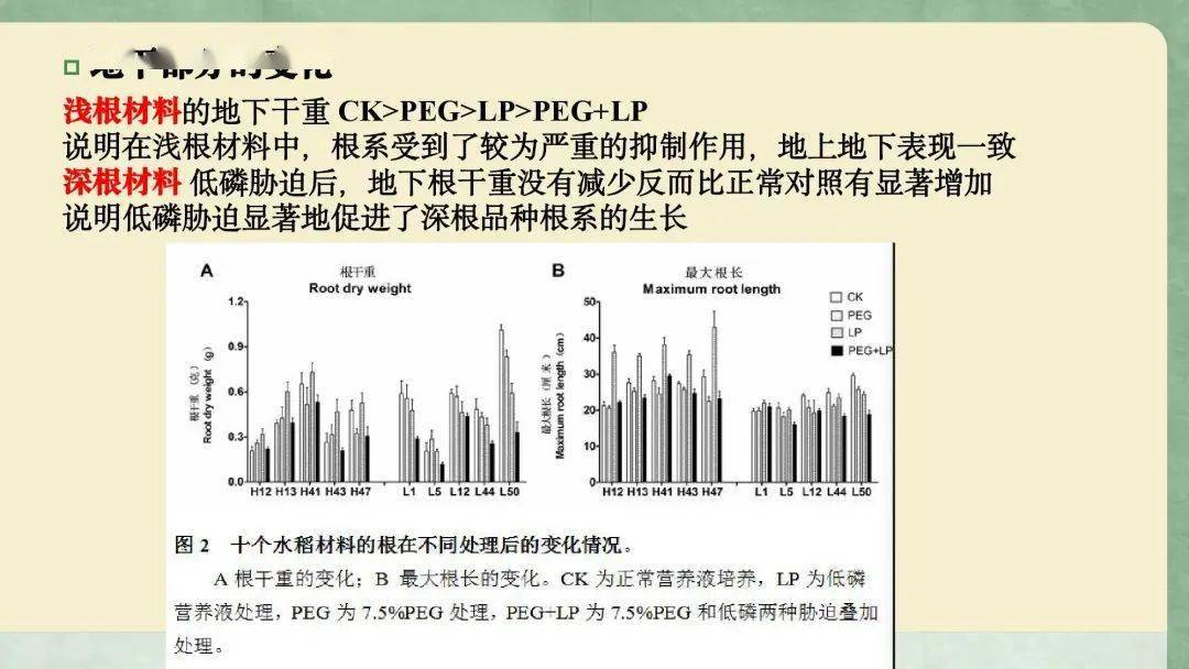 关于8编大力马1.5子线用多大主线的研究与探讨