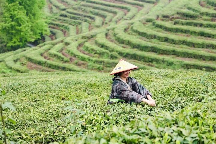 千岛湖地址的独特魅力与探索之旅