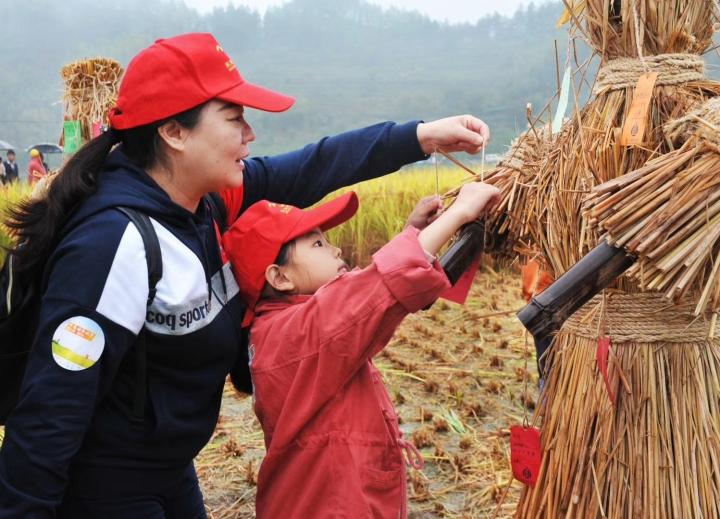 千岛湖丰收田地址——探寻丰收的源头与美丽的田园风光