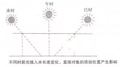 大力马鱼线主线正品台钓，探索最佳钓鱼体验的关键要素