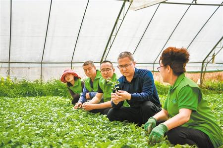 年轻人要到基层，扎根土壤，绽放青春