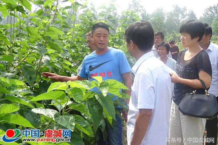 下象棋与电脑主机配置，探索完美结合的可能性