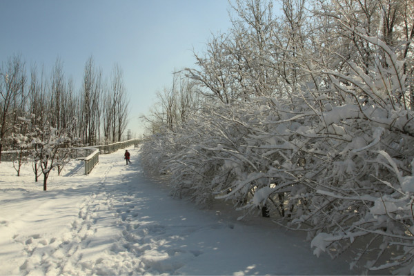 北京奥林匹克公园的雪景