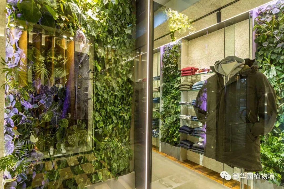 绿植盆栽室内服装店，打造绿色时尚购物空间