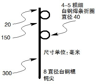 鱼线主线大力马线的奥秘与应用