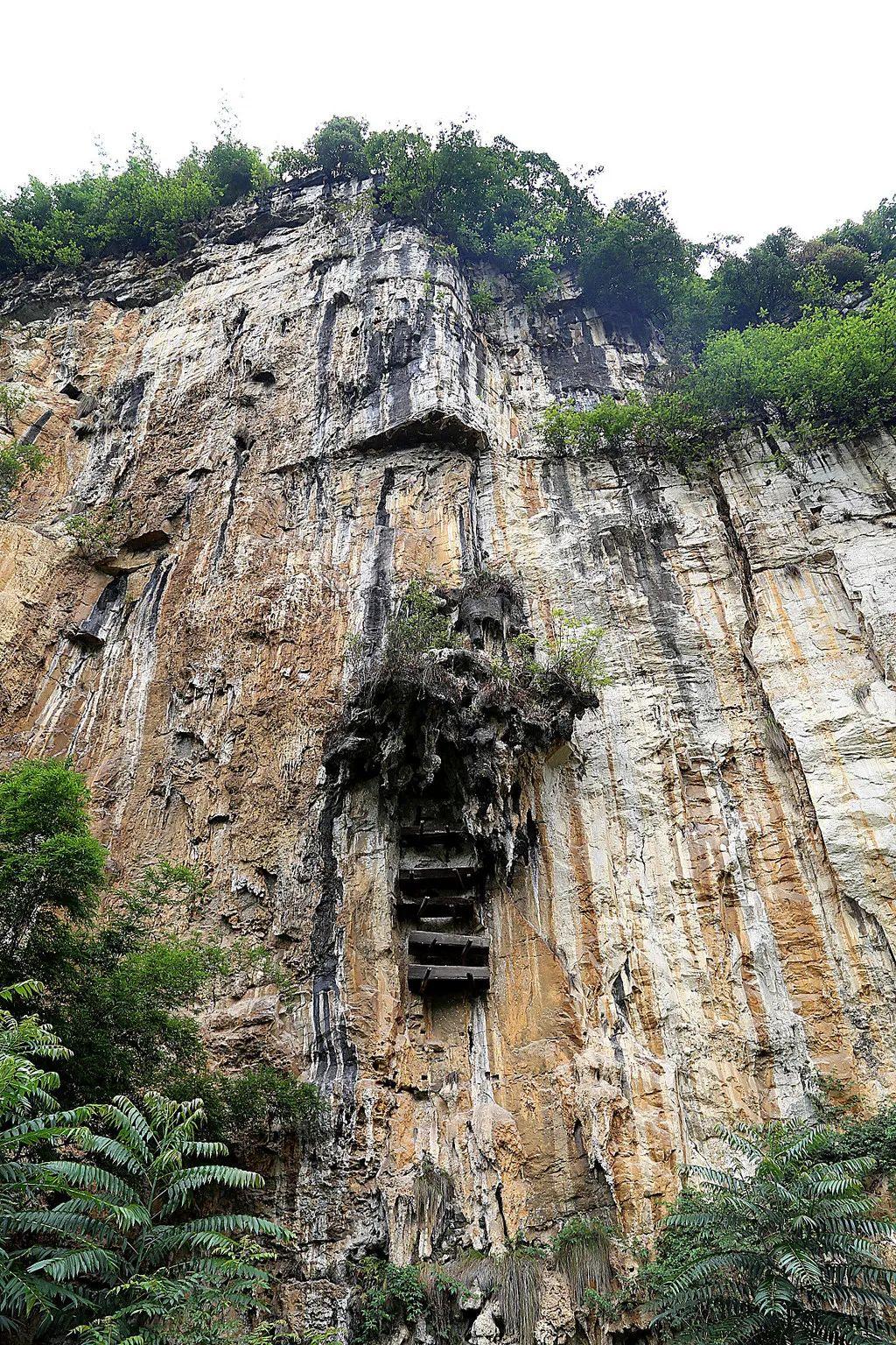 四川露营烧烤之旅，探索可露营烧烤的森林秘境