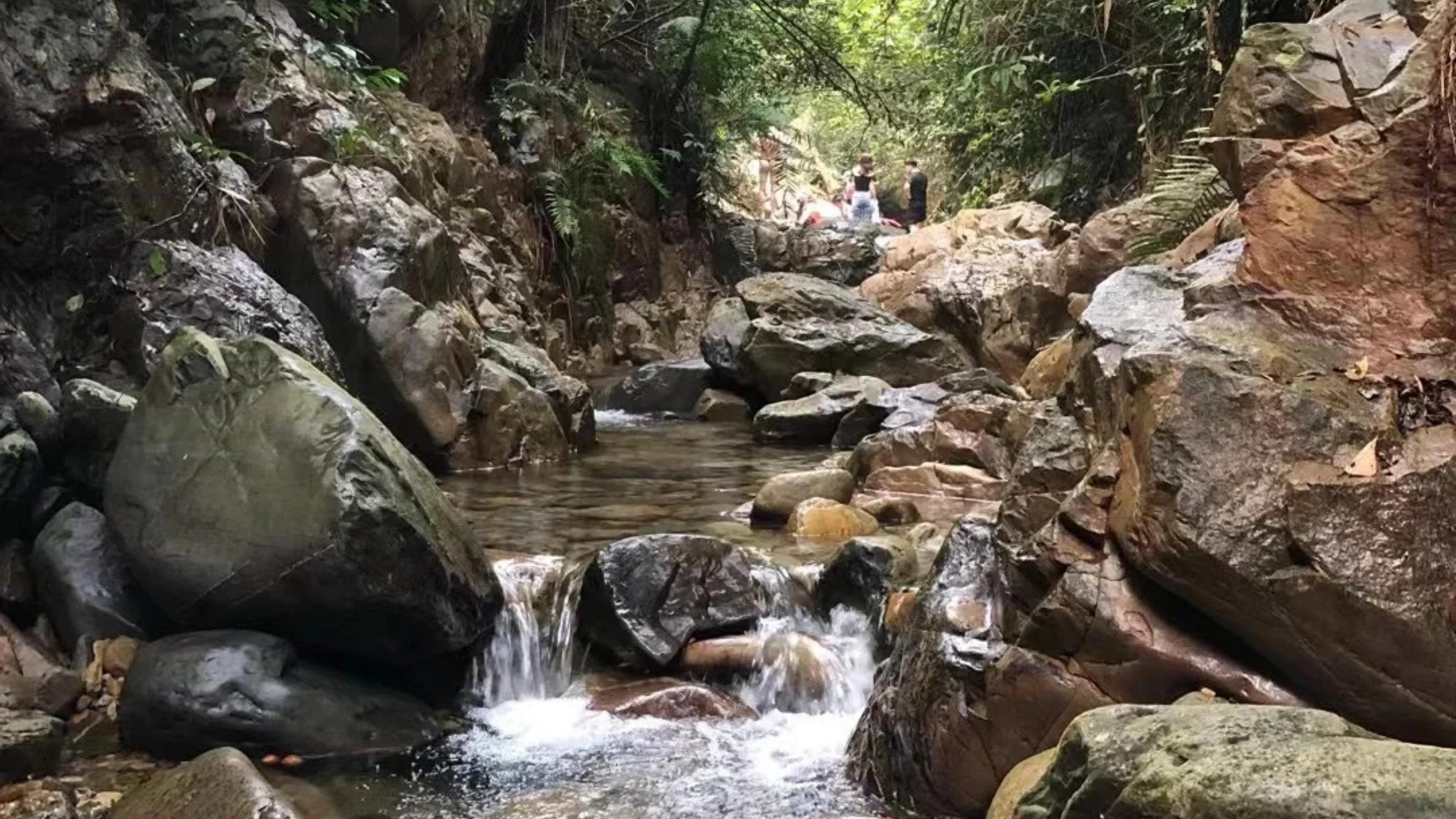 森林露营装备工厂店，探索户外露营装备的世界，体验极致露营体验（第172期深度报道）