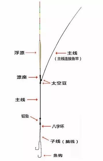 大力马飞磕线组主线，钓鱼技术的革新与优势分析