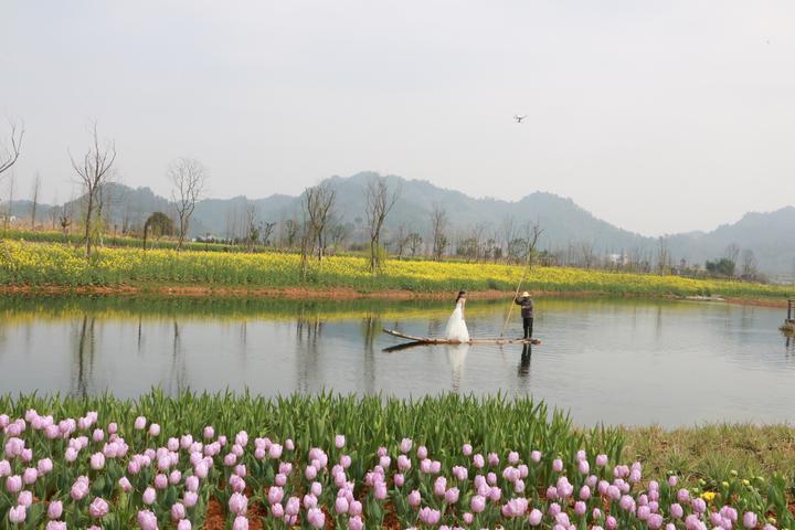 千岛湖蚕桑科普馆的地址及其重要性