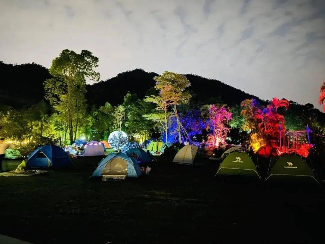 广州火炉山森林露营，体验大自然的怀抱与夜晚的静谧