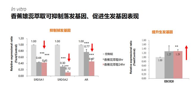 硬线大力马主线接头，技术革新与海洋工程的关键节点