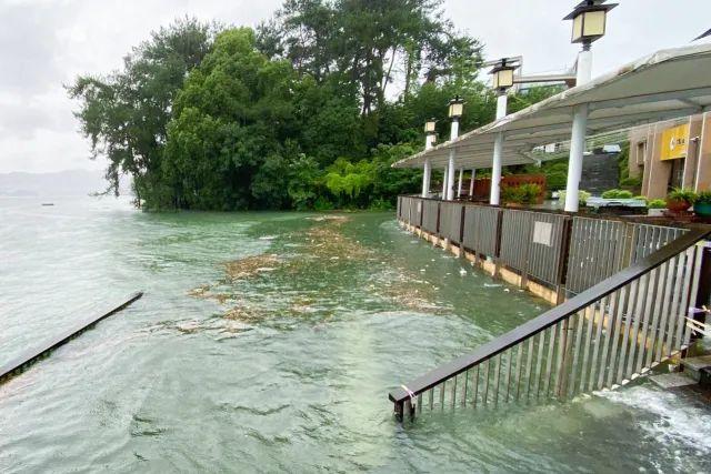 千岛湖泄洪捞鱼地址，生态治理与渔业管理的交汇点