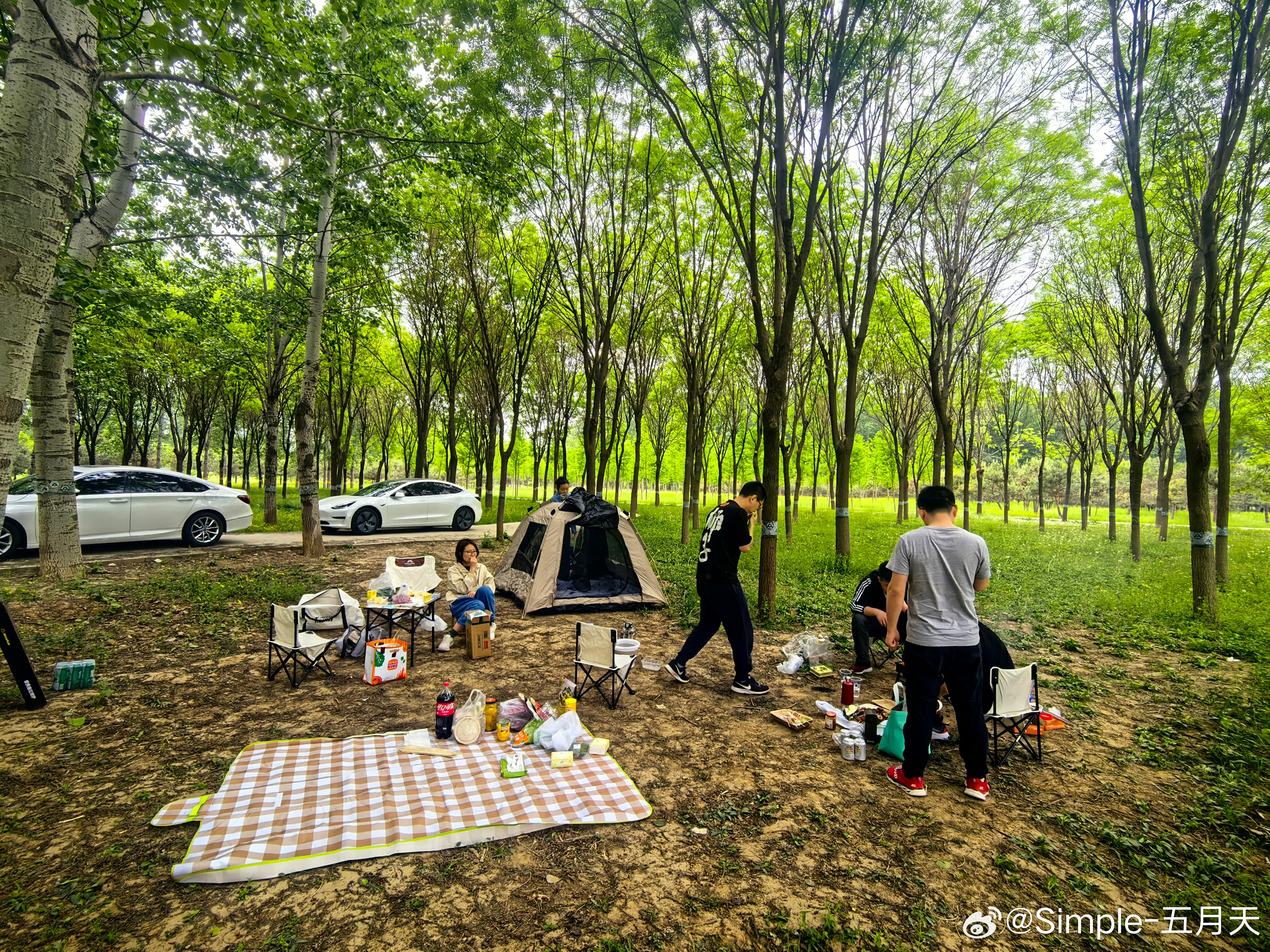 涿州露营烧烤森林，一场与自然的亲密接触