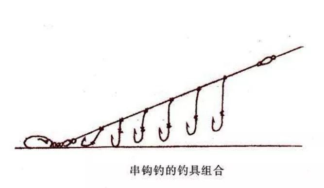 大力马主线与子线的区别及其应用