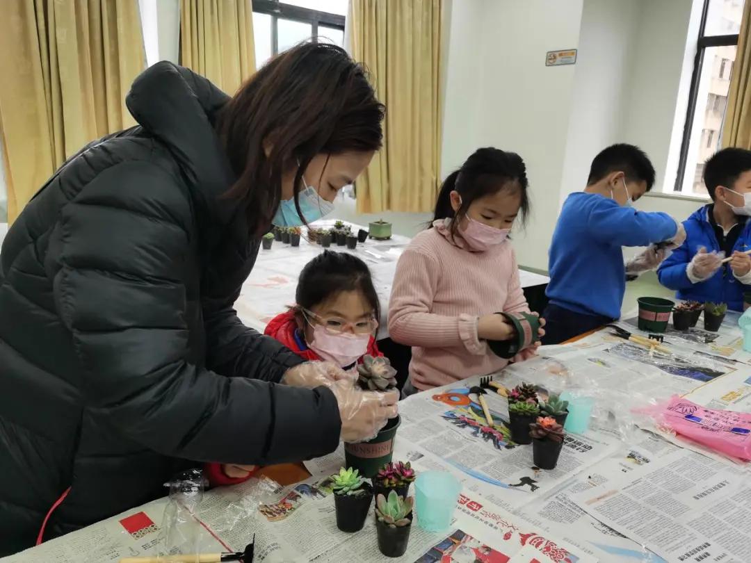 室内绿意盎然，绿植盆栽中的大仙人掌与花色之美