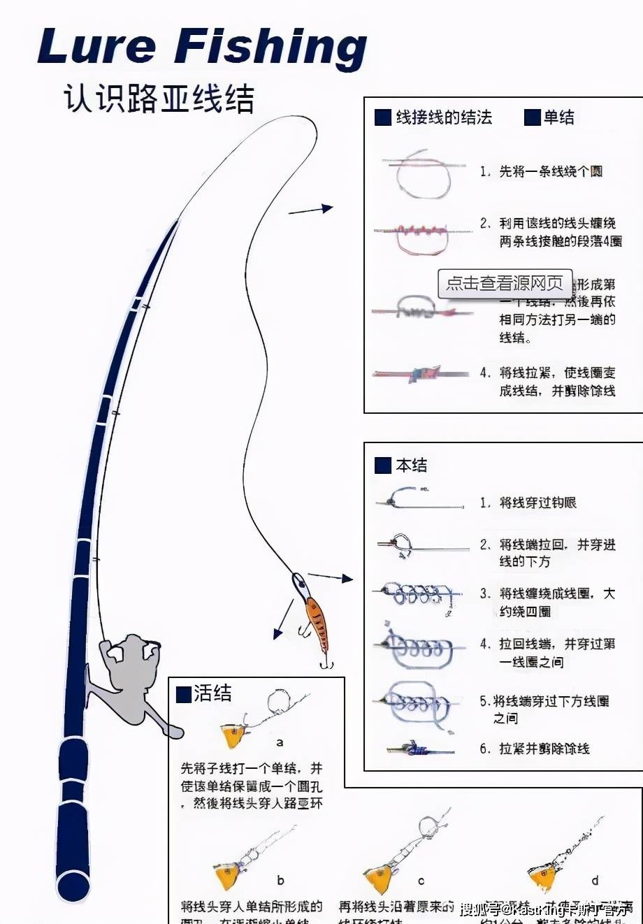 大力马碳素鱼线主线正品，品质卓越，钓鱼爱好者的首选