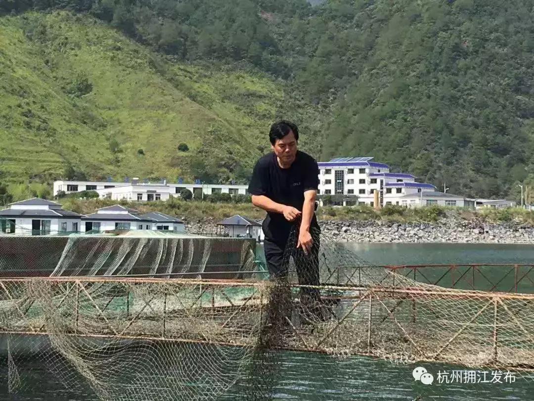 千岛湖钓鱼鱼排地址——垂钓爱好者的梦幻之地